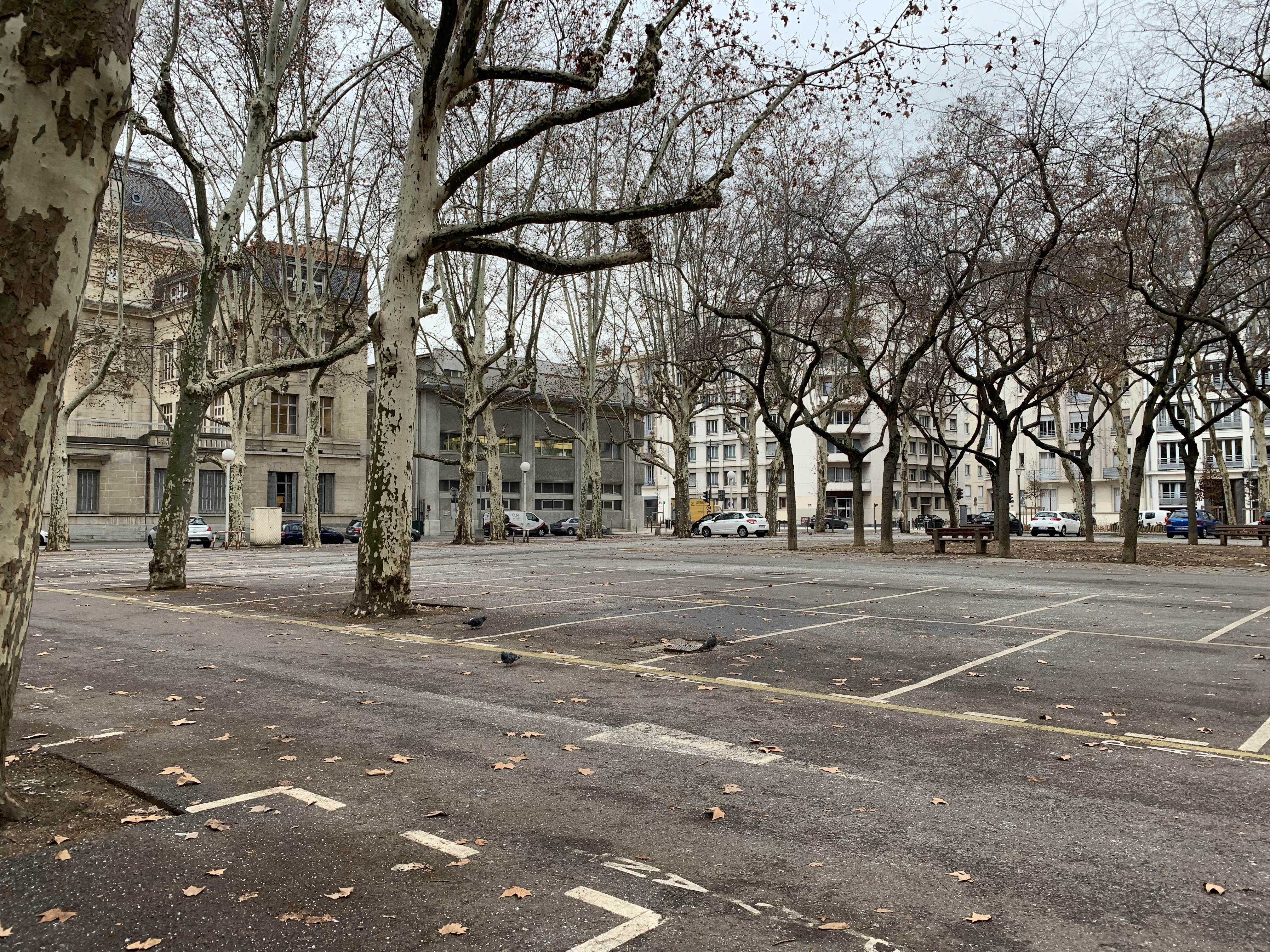 La Résistance à Lyon : Cœur Battant de la France Libre